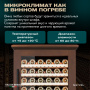 Винный холодильник (шкаф) компрессорный MEYVEL MV99PRO-KBT2 (Итальянский орех)